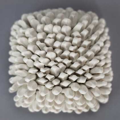 Agave - 5" by Heather Knight 