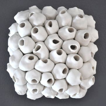 Barnacle - 5" by Heather Knight 