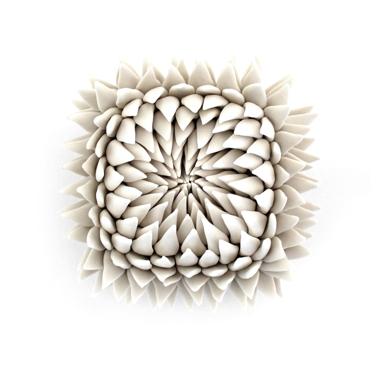 Luxe Protea 5" by Heather Knight 
