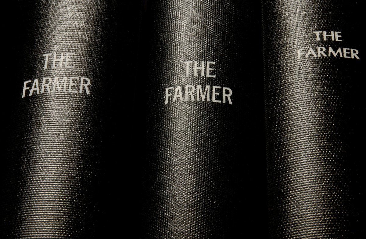THE FARMER by Mickey Smith  Image: THE FARMER