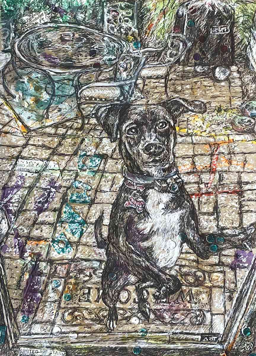 Backyard Guest by Dawn Petrill  Image: Back Door Guest- 10" x 8"- Mixed Media Drawing on Toned Paper