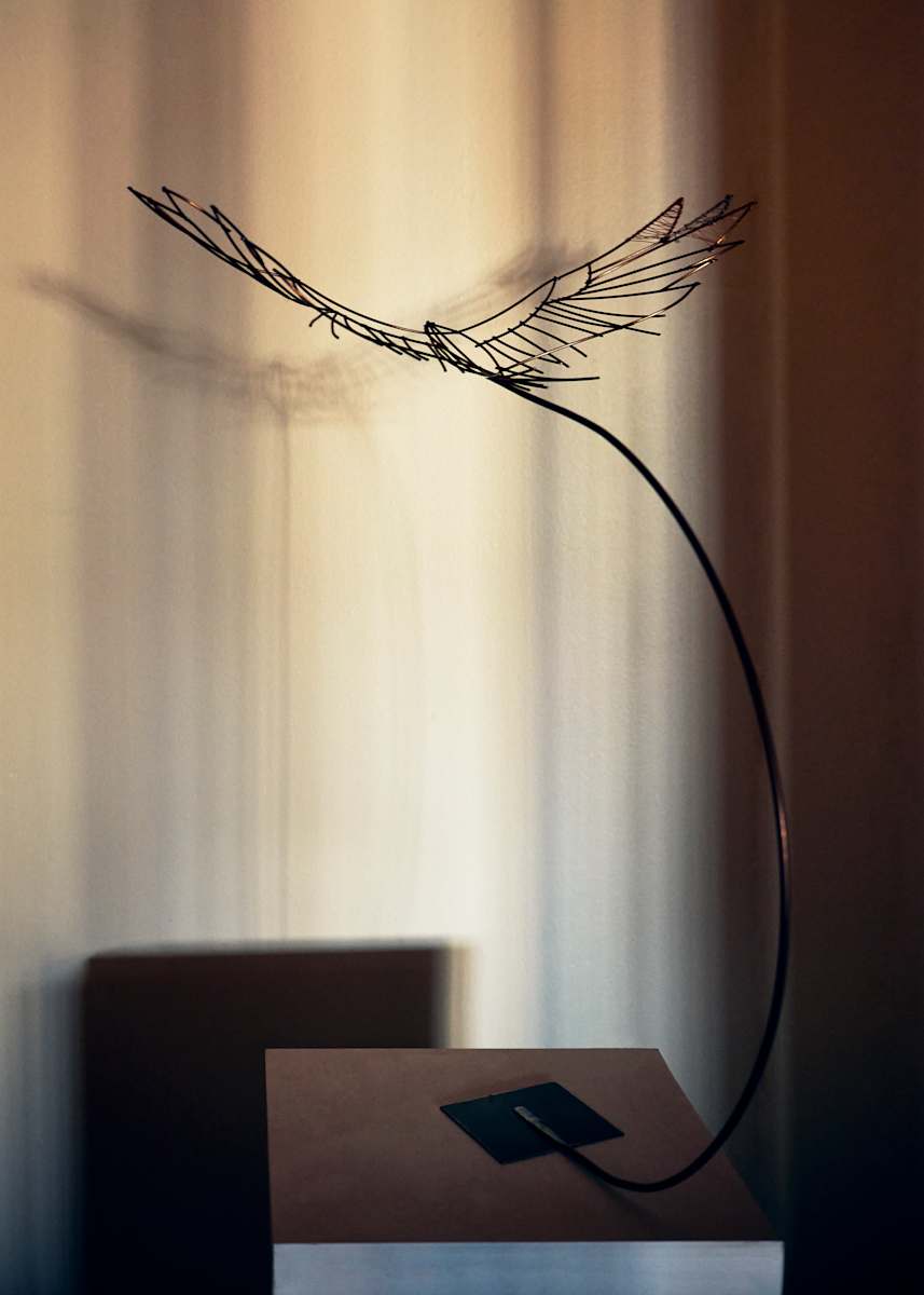 Soaring #9 by Nicki Adani 