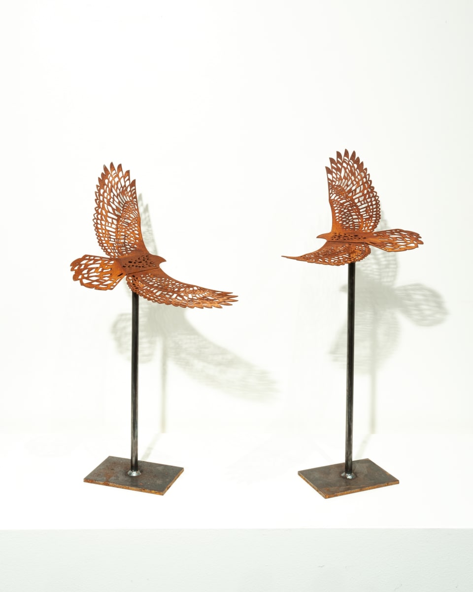 Birds Eye View, Earth - Set 1/9 by Nicki Adani 