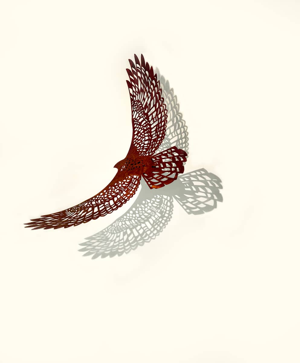 Bird's Eye View, Fly Free, Earth, hanging by Nicki Adani 