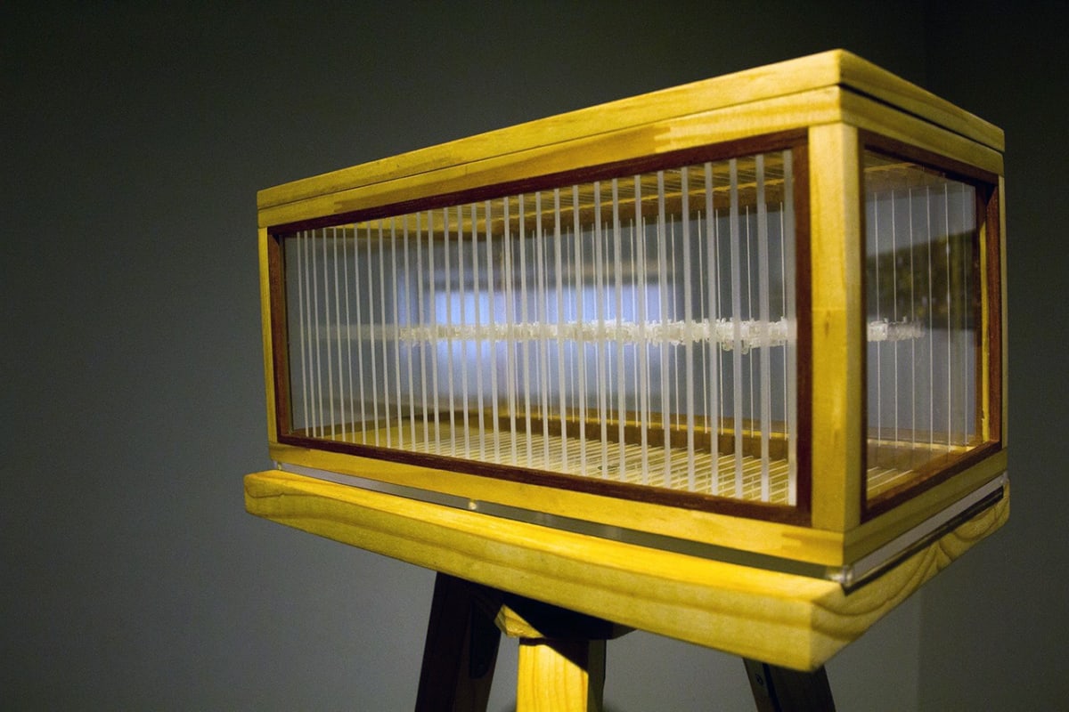 Transposiciones Patrias # 3 by Jorge Luis Vaca Forero, Image 1.