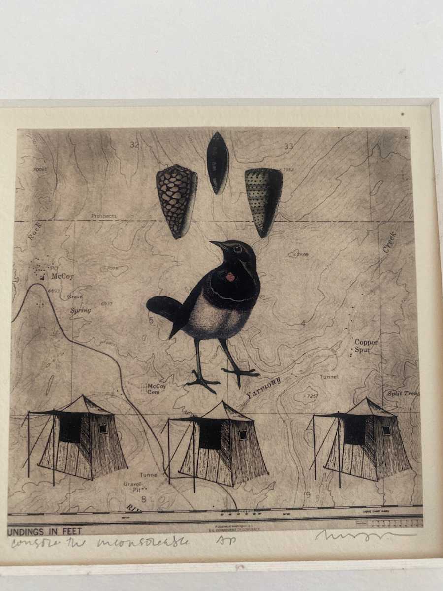 Shell, bird, tent - Solar Etching by Meg (Marguerite) Bernet 