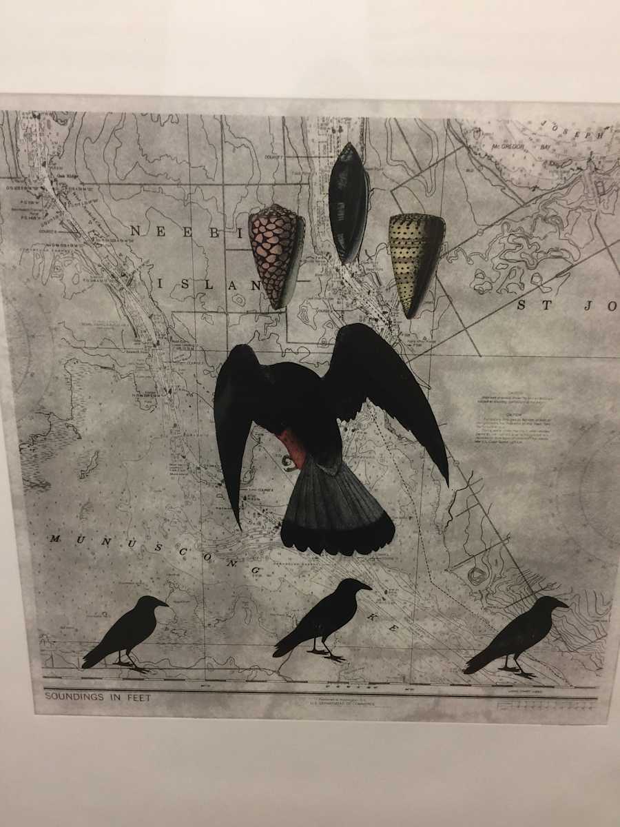 Shell, Bird, Bird - Solar Etching by Meg Bernet 