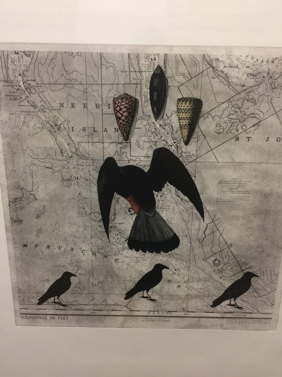 Shell, Bird, Bird - Solar Etching by Meg Bernet, Image 1.