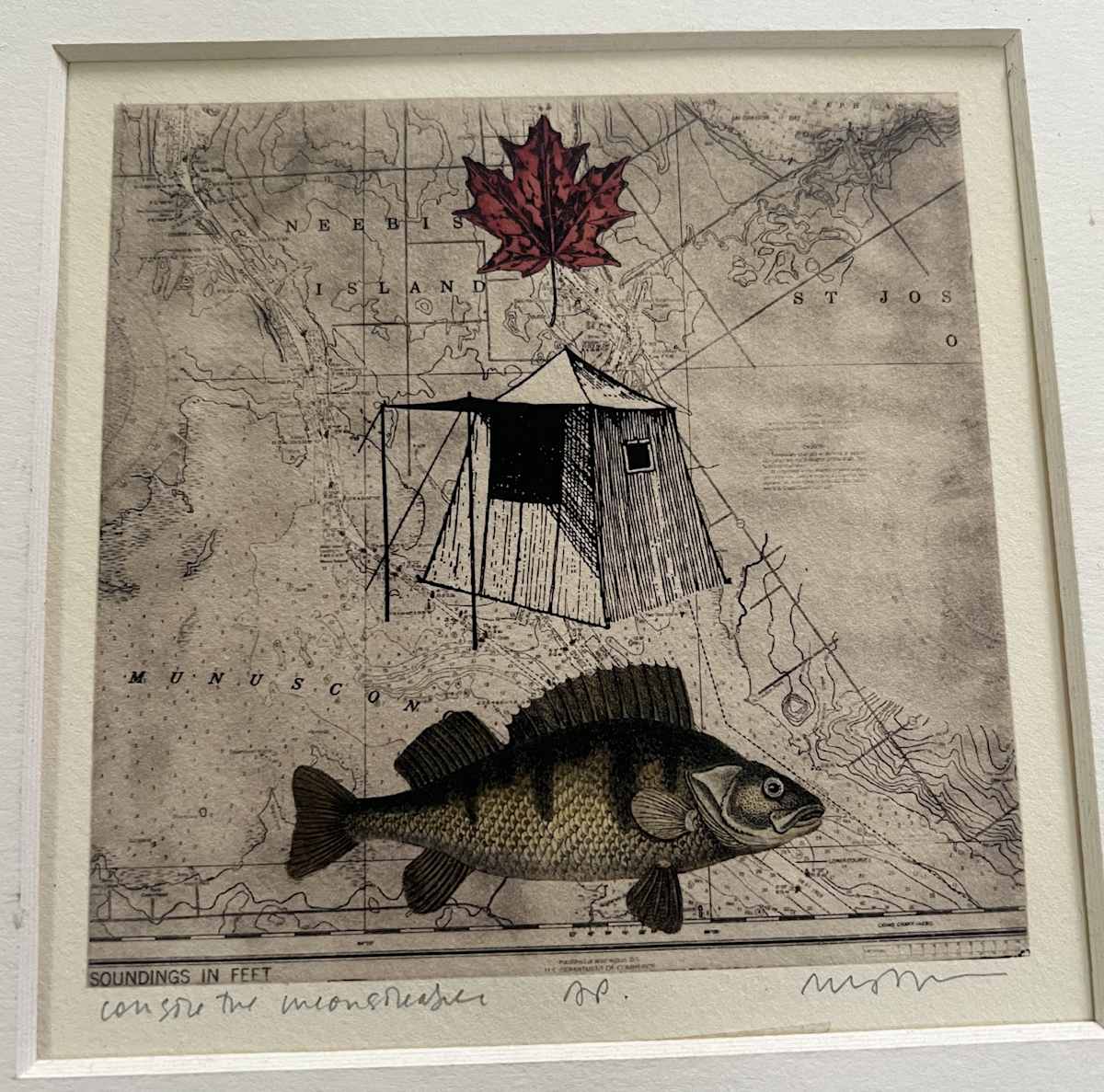 Shell, Tent Fish - Solar Etching by Meg Bernet 