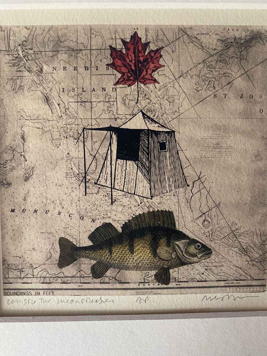 Shell, Tent Fish - Solar Etching 