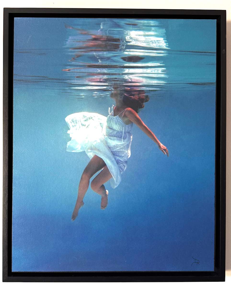 Hidden Dance by Dawn Harmer  Image: Fine Art Photograph on Wood Panel and finished with multiple layers of acrylic resin and
presented in a black wood float frame