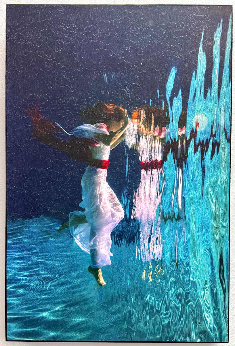 Hidden Secrets by Dawn Harmer, Image 1.