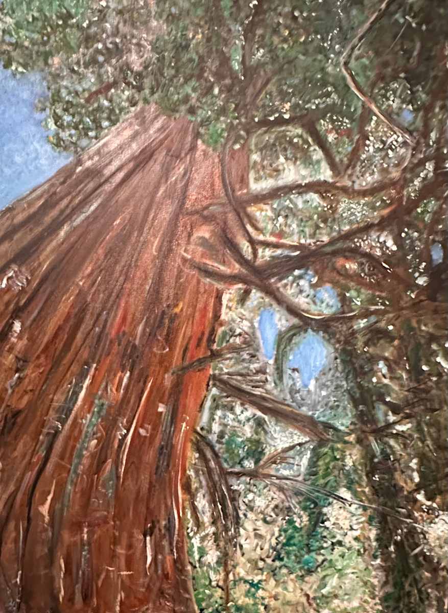 Tangled Elevation by Expedition in Art, Image 1.