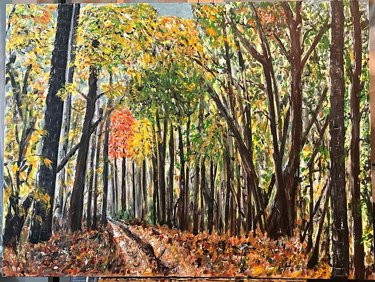 Fall in The Forest by Andrea, Image 1.