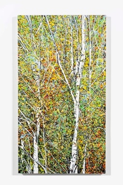 Birch by Leslie Parke 
