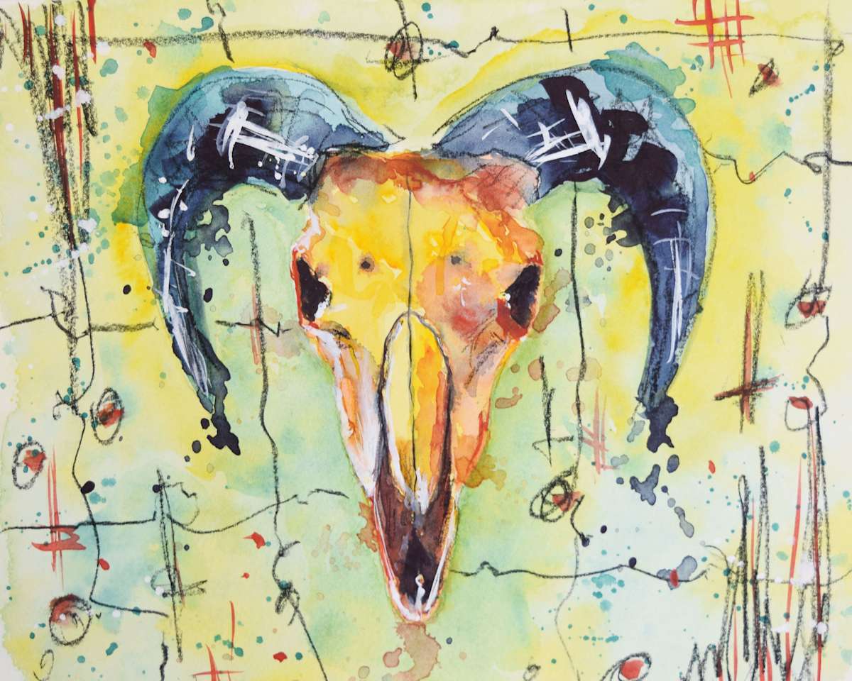 Animal Skull Study 2, Image 1.
