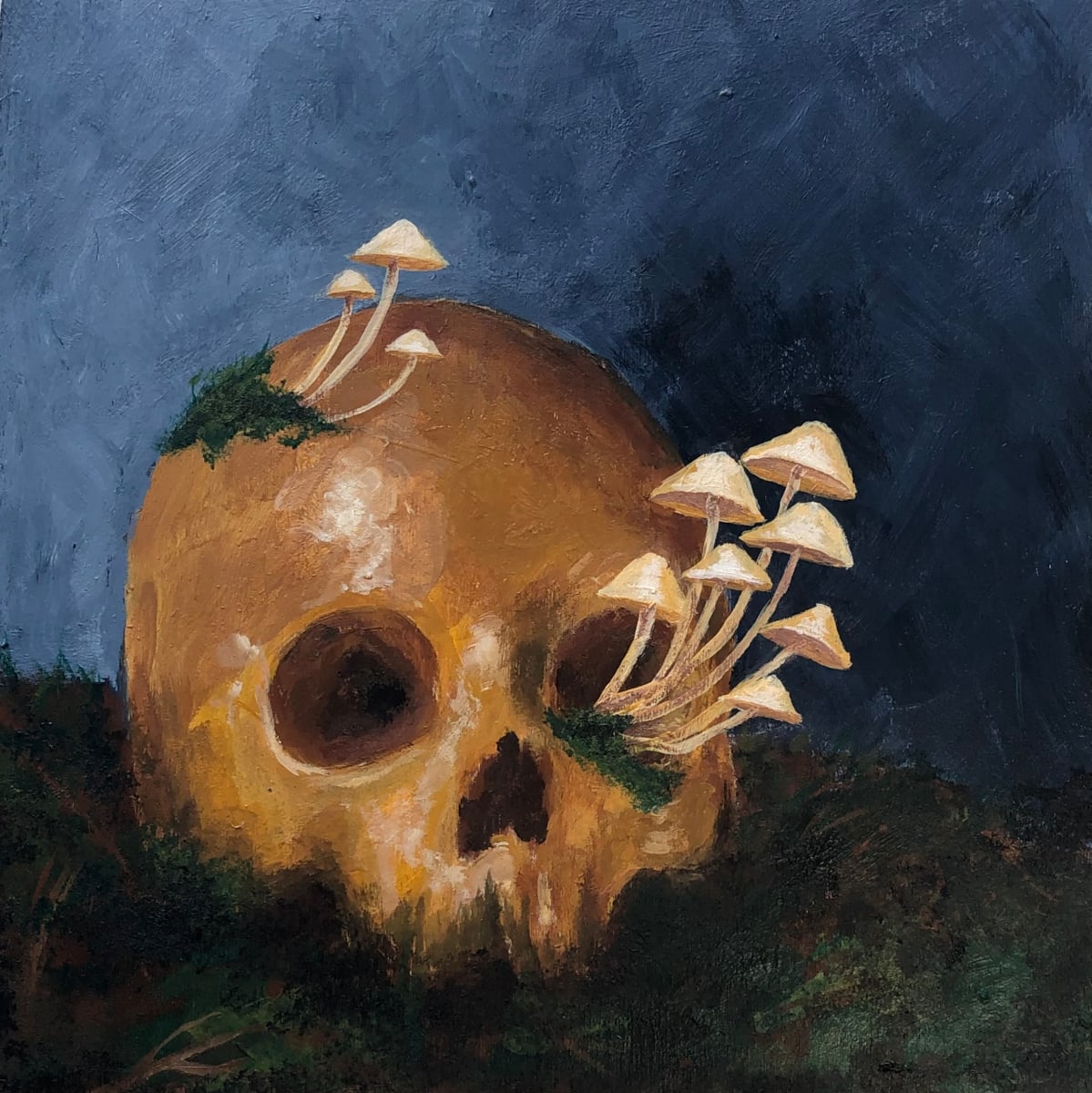 Mush Skull by Krystlesaurus 
