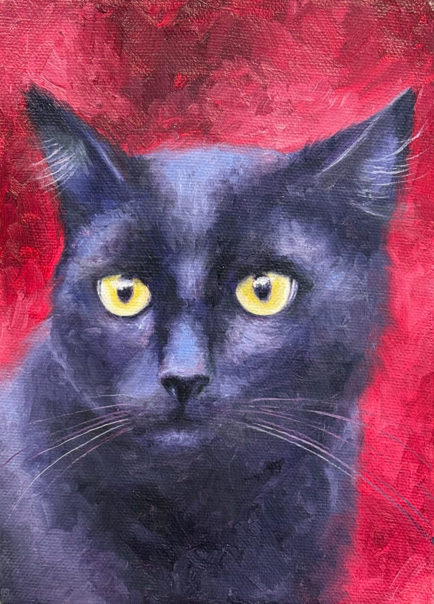 Little Black Cat by Krystlesaurus 