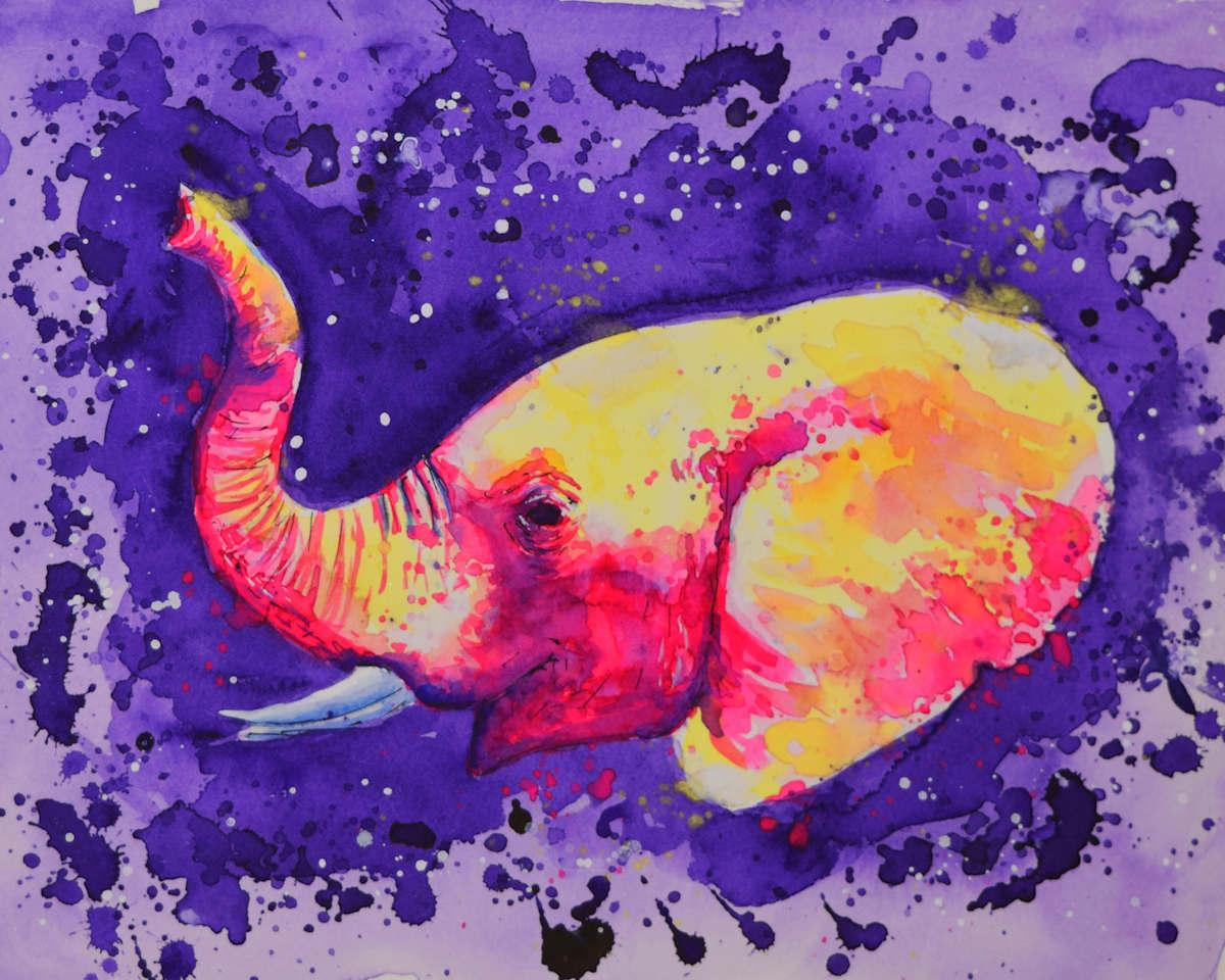 Elephant Study 3, Image 6.