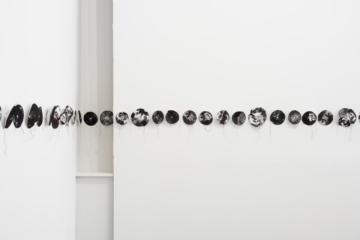 282 Images of My Ovaries and Uterus (this is not all of them) by Emma Jane Royer  Image: Installation detail

Photo credit: Everything Time Studio