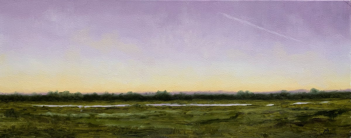 Dawn Flight by Pamela Hirsch 