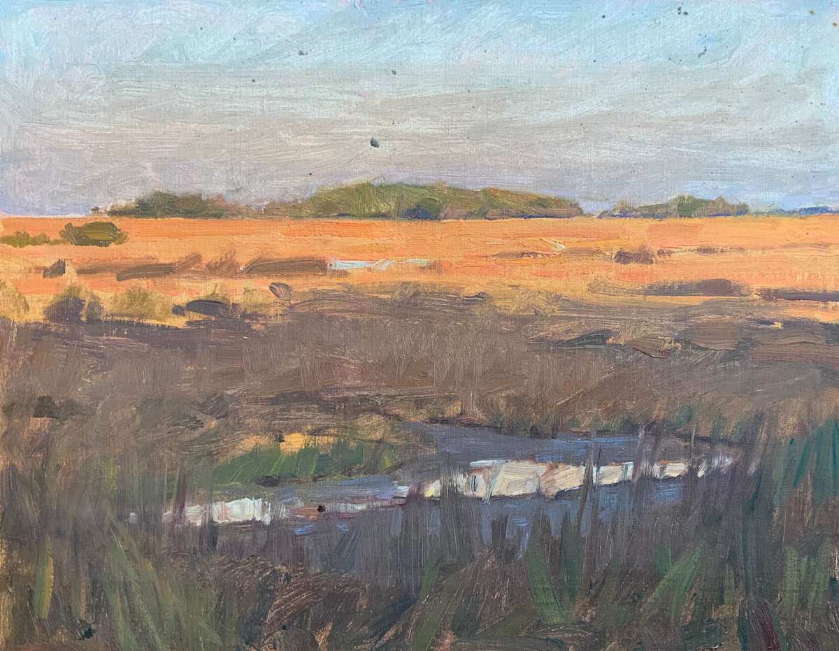 SUNSET OKATIE by David Bareford, Image 1.