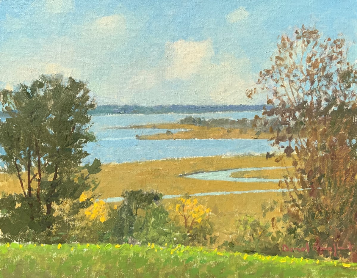 View from Castle Hill by David Bareford, Image 1.