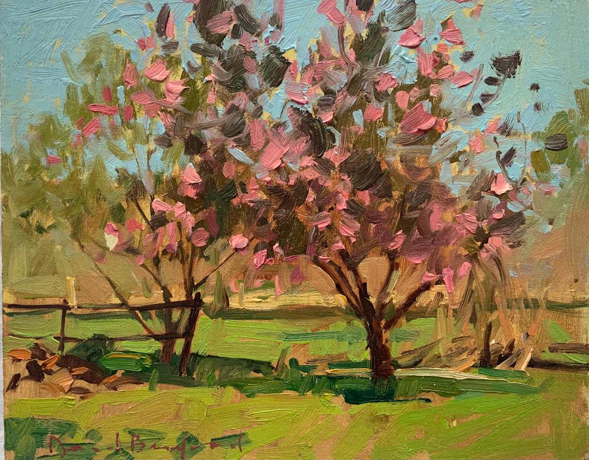 Spring Crab Apple Tree by David Bareford, Image 1.