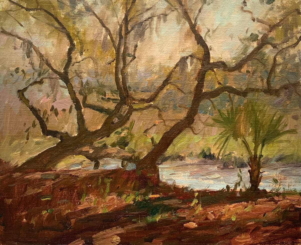 Trees by David Bareford, Image 1.