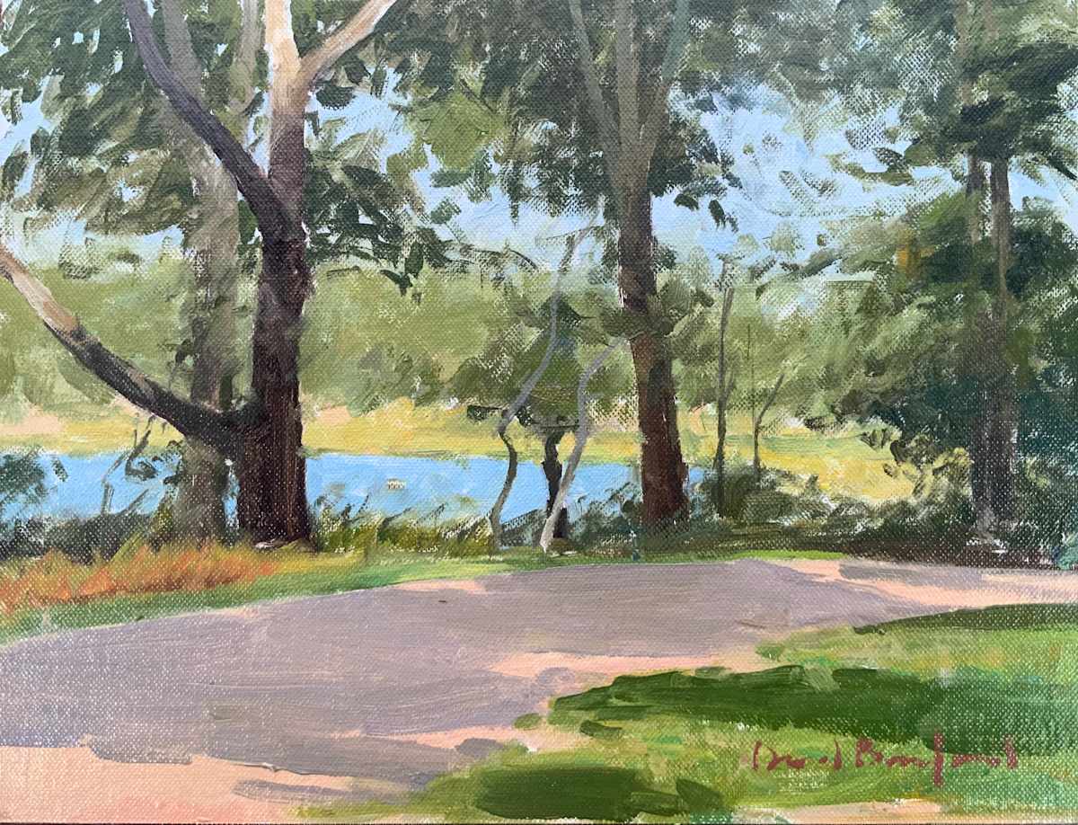through the Trees by David Bareford, Image 1.