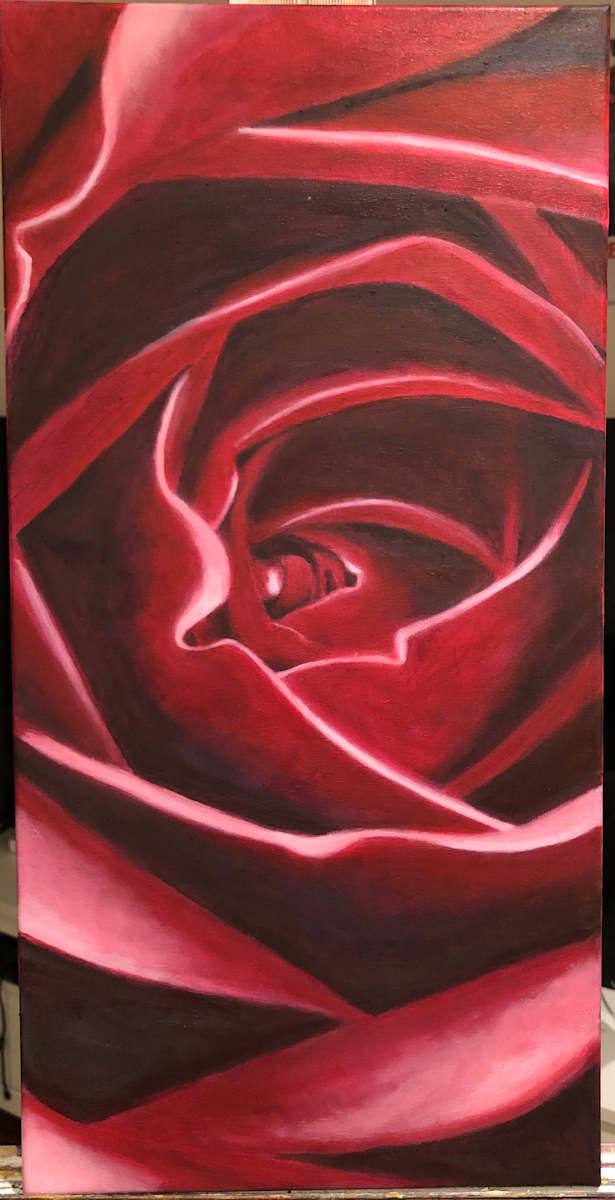 Fuchsia Rose by KateSimmonsArt 
