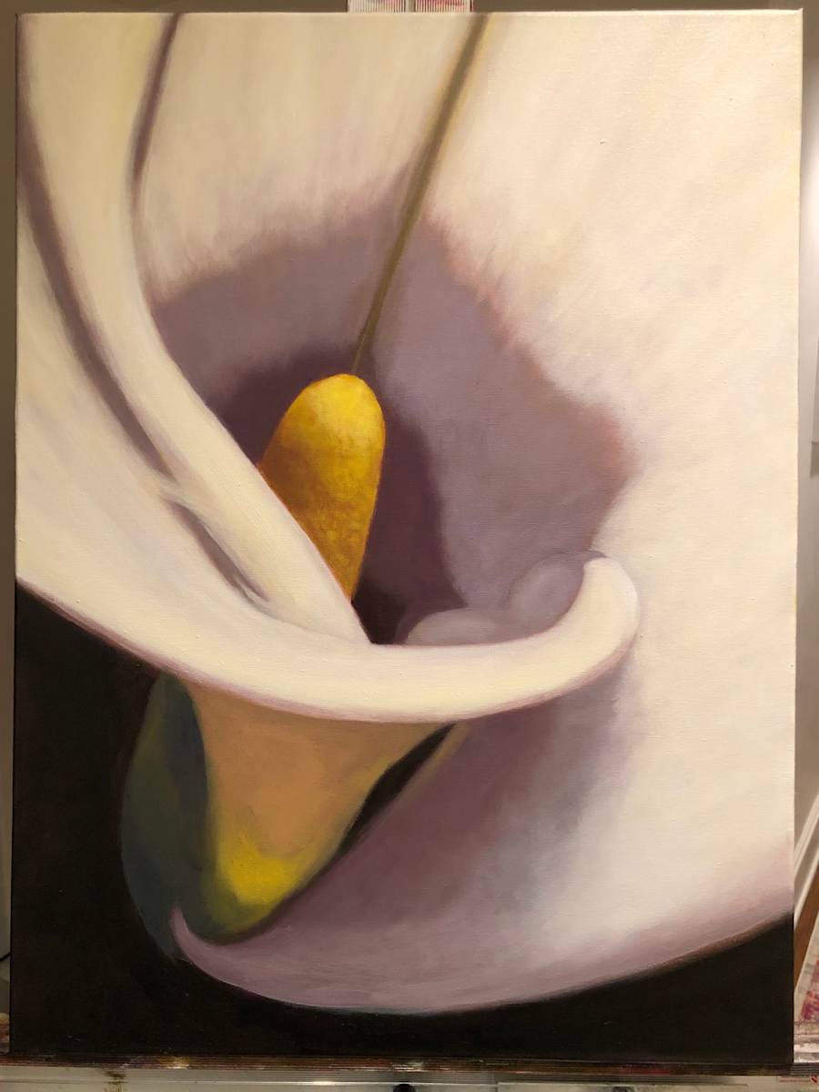 Callalily by KateSimmonsArt 
