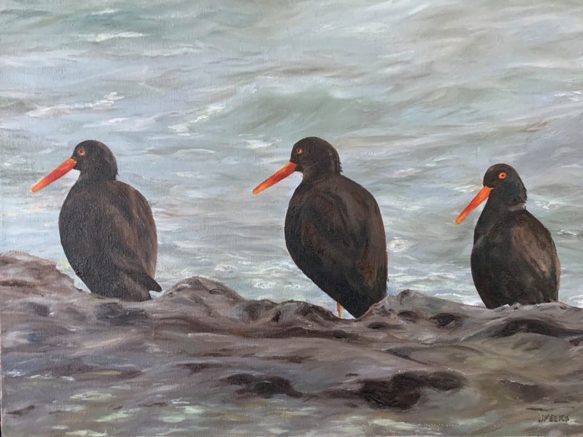 Oyster Catchers 