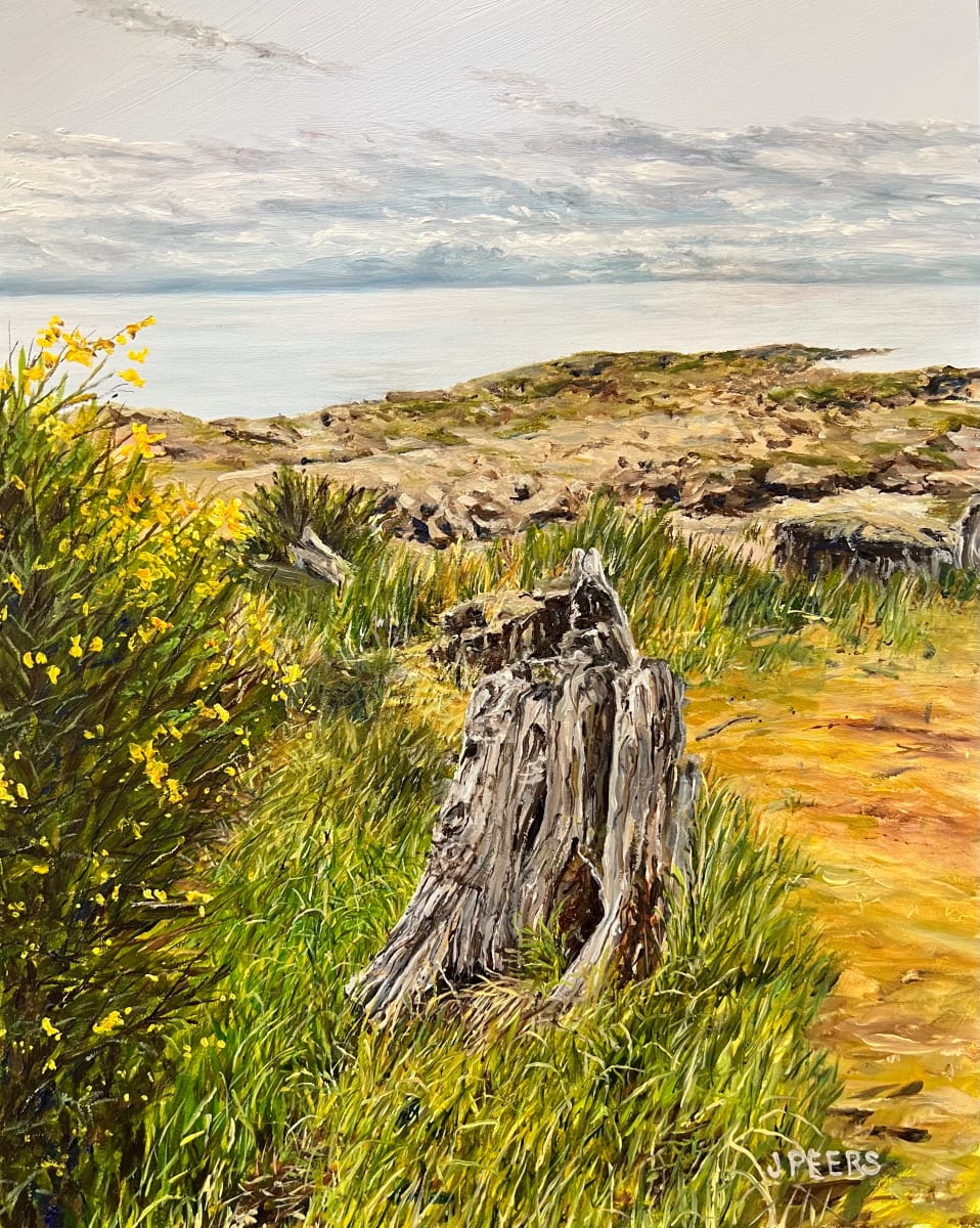 Off the Path to Reef Bay by Jennifer Peers 