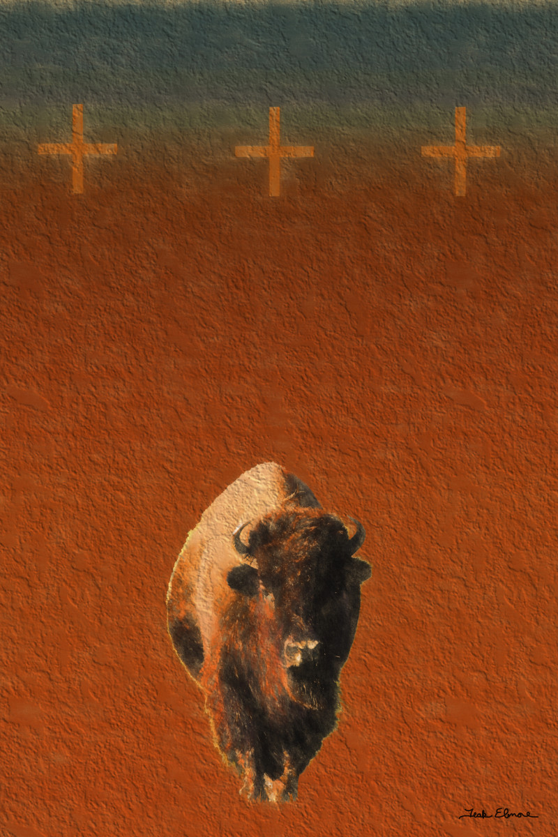 Buffalo Blanket by teak elmore 