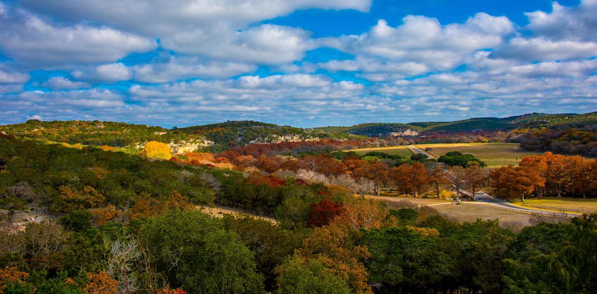 Hill Country Vibrance by teak elmore, Image 1.
