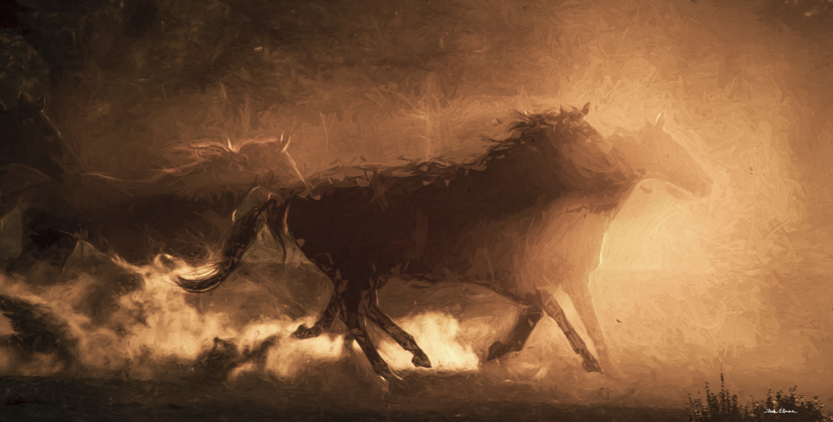 Shadow Herd by teak elmore 