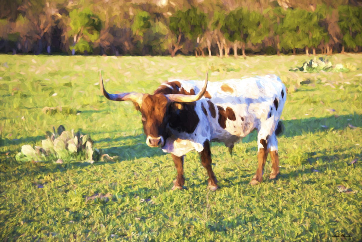 Greystone Longhorn by teak elmore 