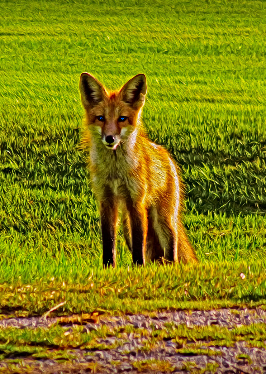 Ninth Hole Thief by teak elmore 