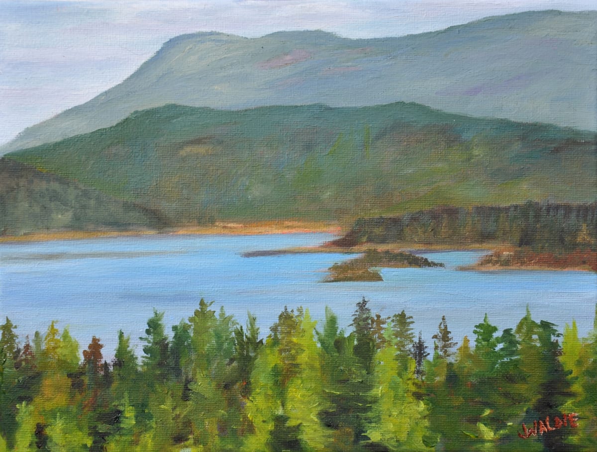 Over the Trees by Jody Waldie 