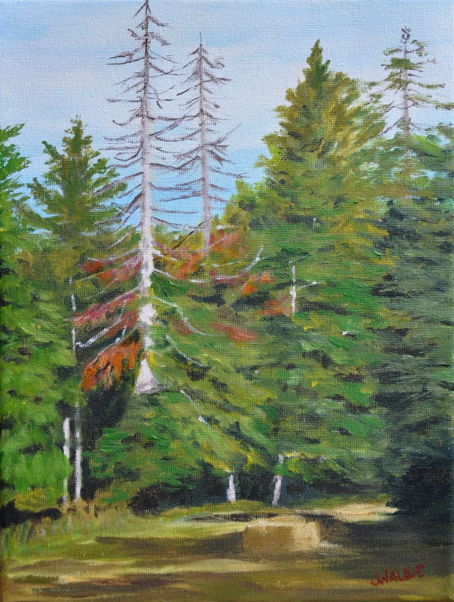 One Summer Morning by Jody Waldie 