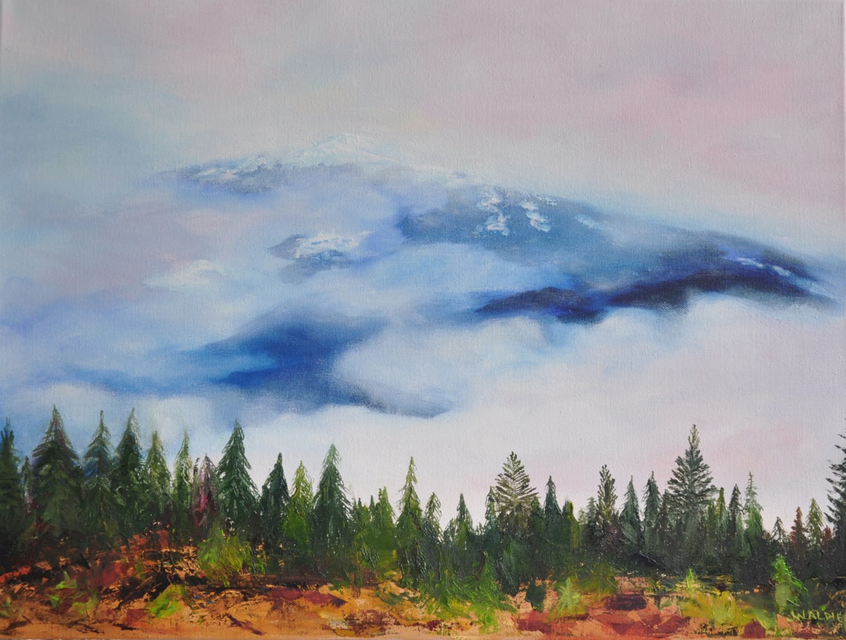 Alberni Valley Morning Mist by Jody Waldie 