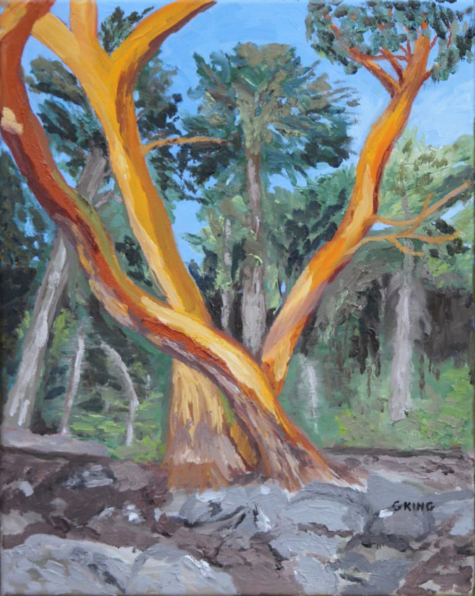 Arbutus Cluster by Glenda King 