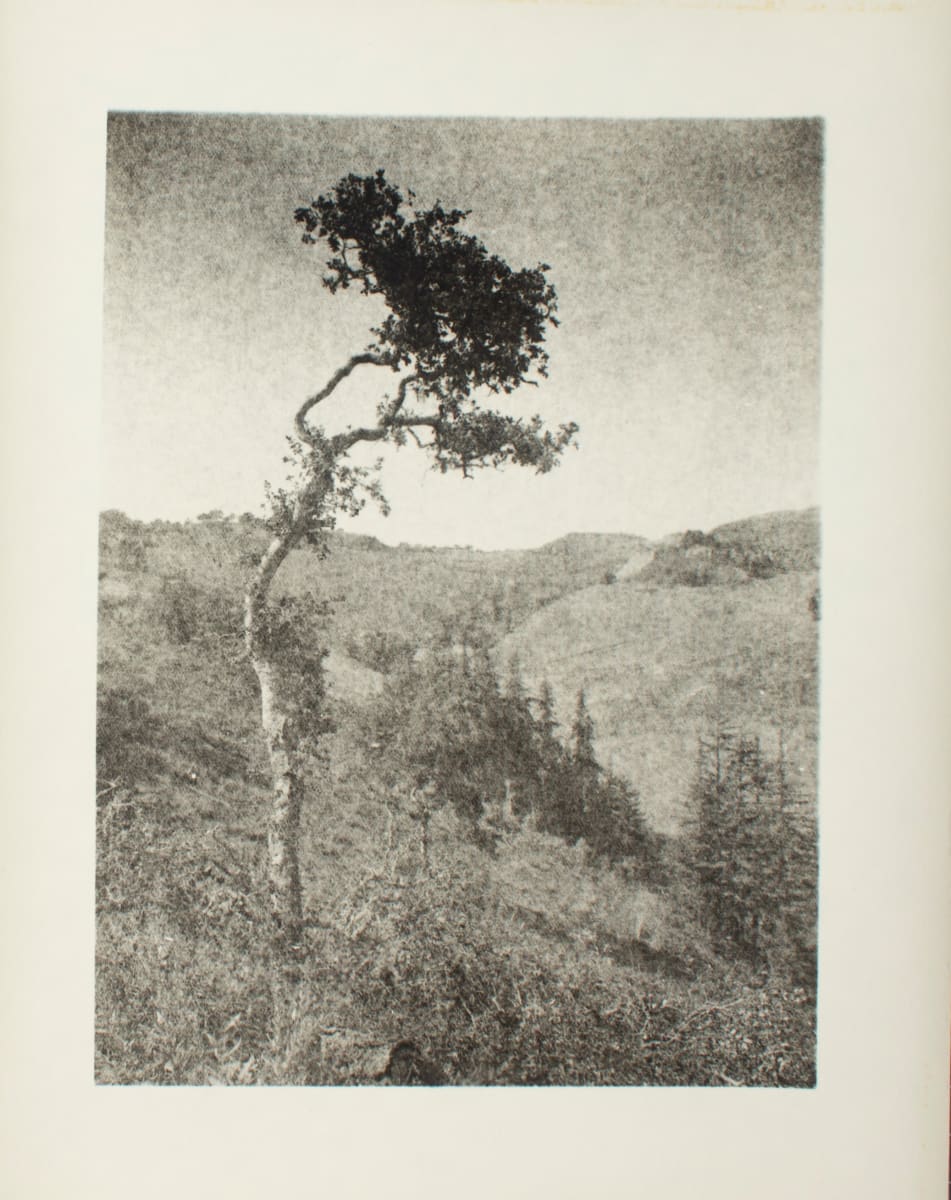 Untitled by Leopold Hugo, Image 1.