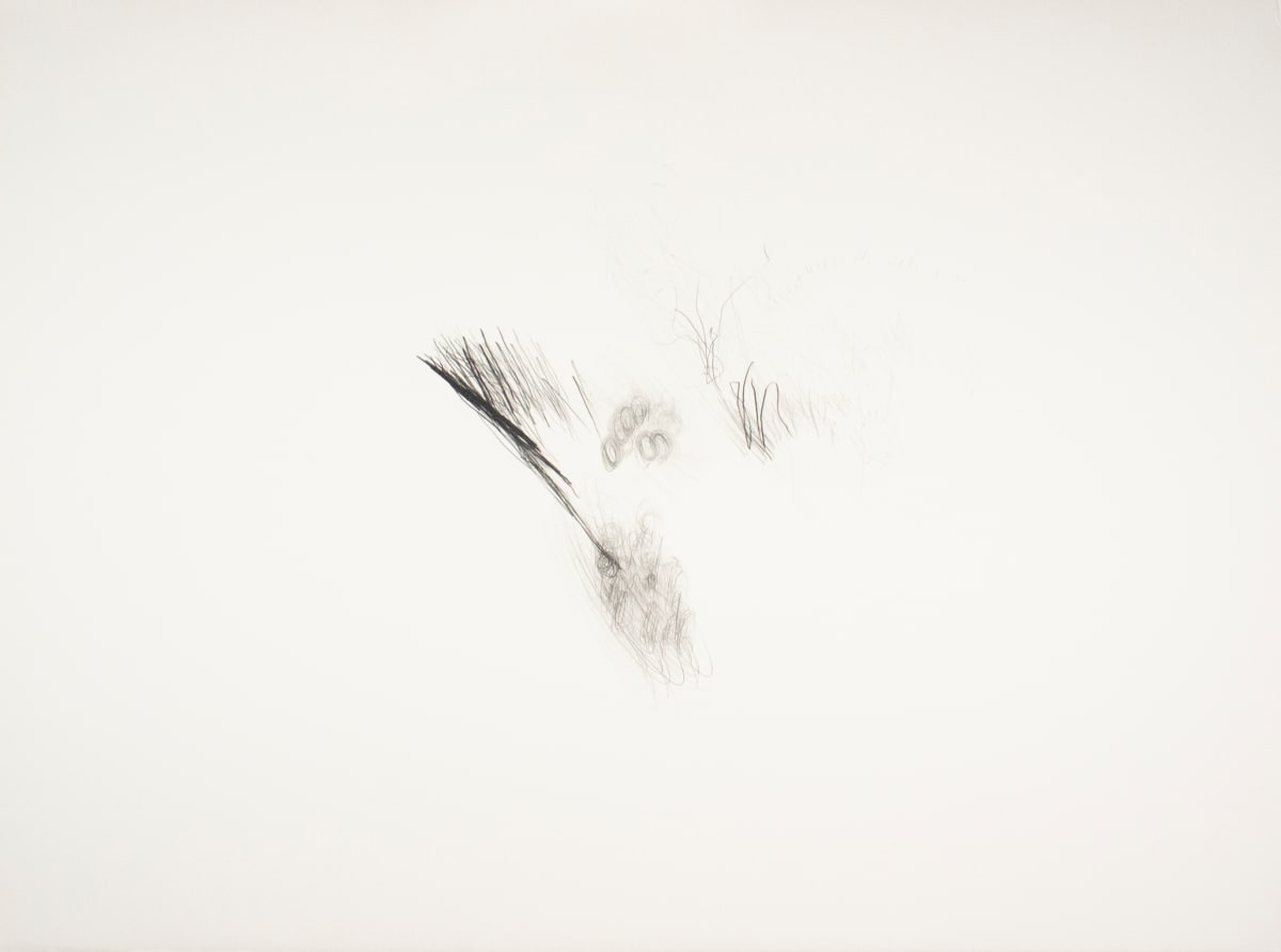 Various Grades Flux Encounter by Alan Saret, Image 1.