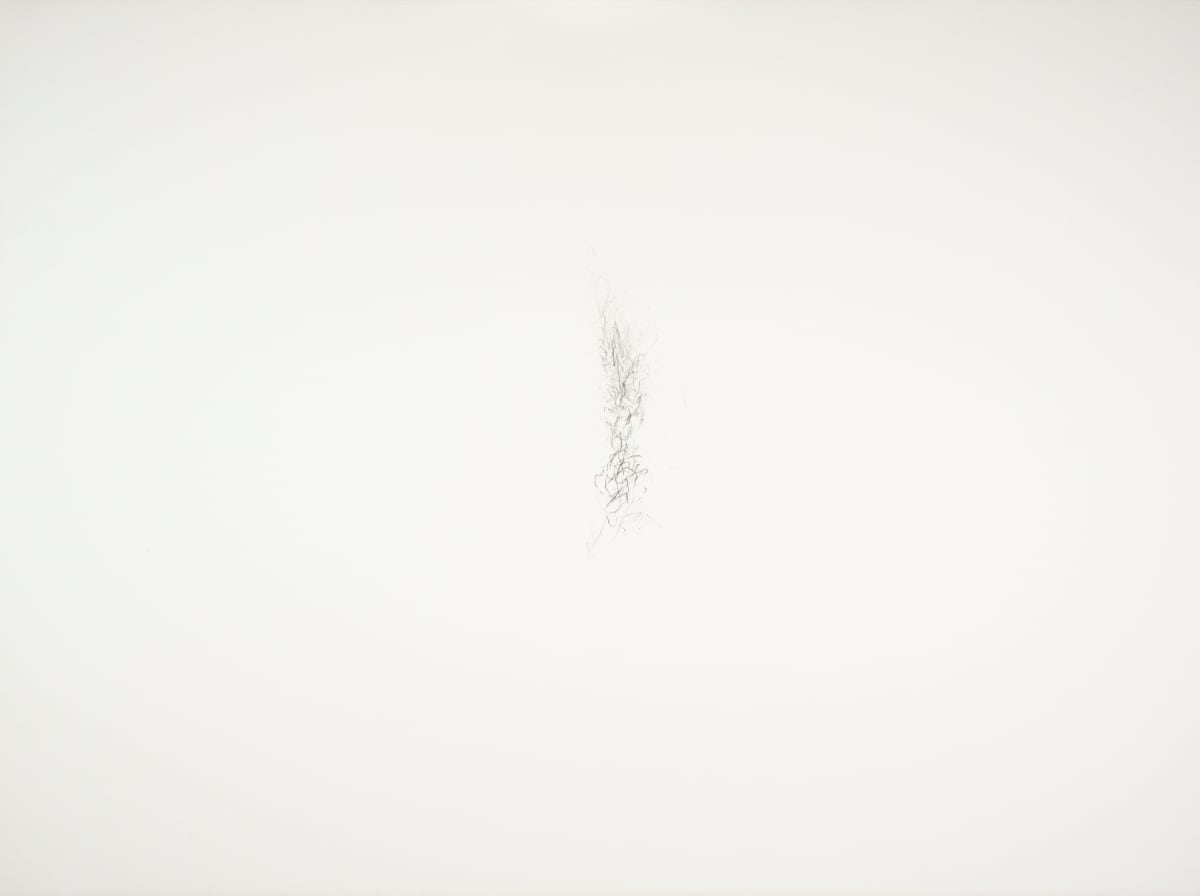 Full Range Encounter by Alan Saret, Image 1.
