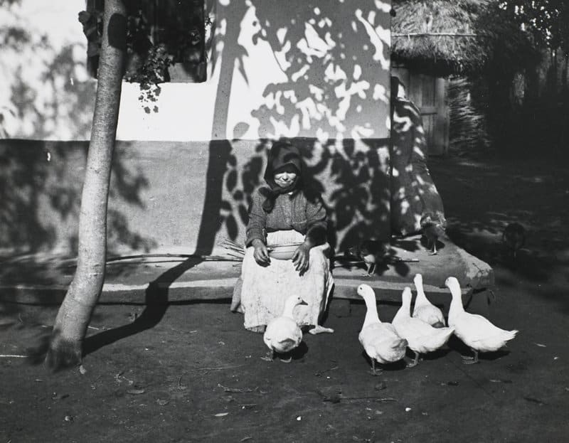 Tisza-Szalka, from A Hungarian Memory Portfolio by André Kertész 