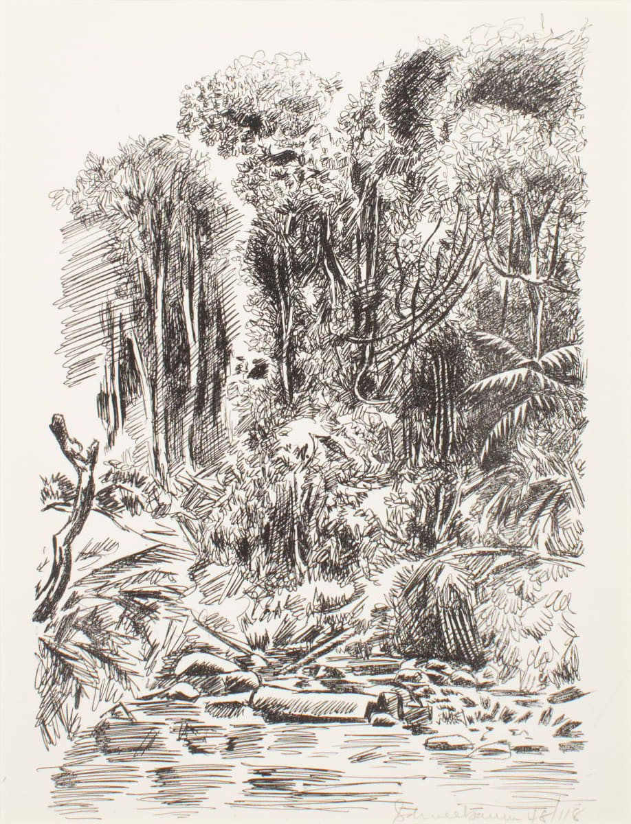Jungle by Tobias Schneebaum 