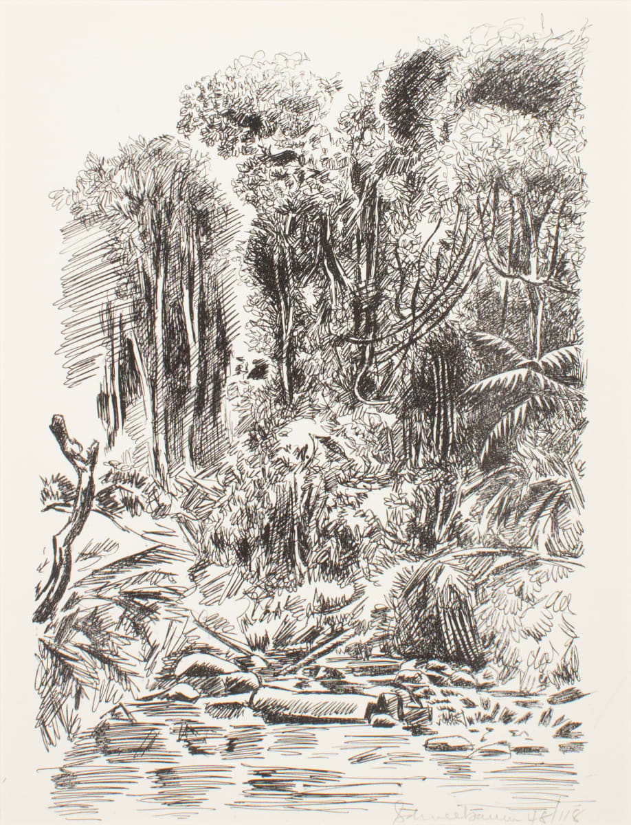 Jungle by Tobias Schneebaum, Image 1.
