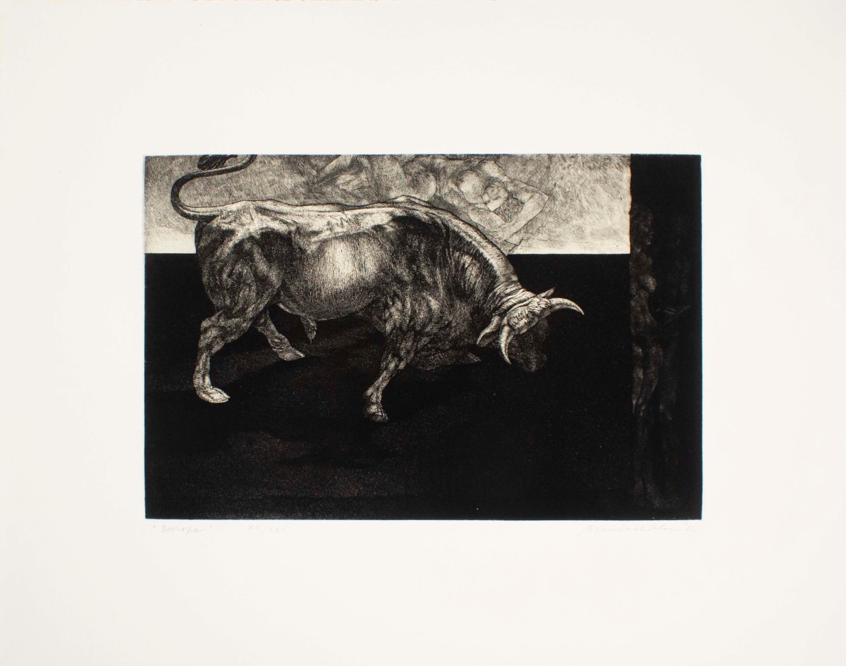 Europa by Adrian Van Suchtelen, Image 1.